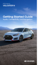 2019 Hyundai Veloster N GSG