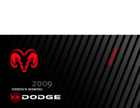 2009 Dodge Sprinter OM