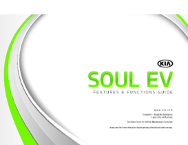 2015 Kia Soul EV FFG
