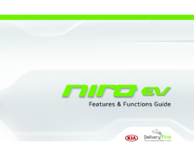 2019 Kia Niro EV FFG