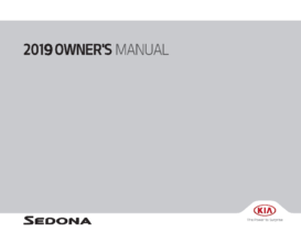 2019 Kia Sedona OM